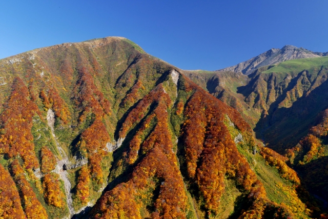 鳥海山の紅葉